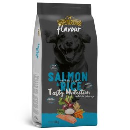 Divinus Divinus FLAVOUR DOG - łosoś z ryżem 18 kg
