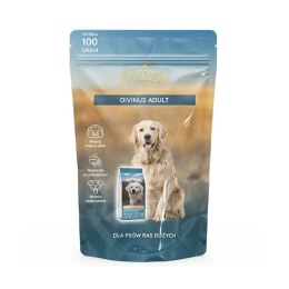 Divinus PRÓBKA Divinus Adult dla psów dorosłych 100g
