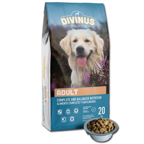 Divinus PRÓBKA Divinus Adult dla psów dorosłych 100g