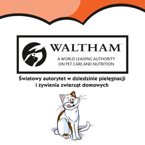 Dreamies DREAMIES Przysmak Dla Kota Z Kurczakiem 60g