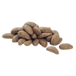 Purina Pro Plan Purina Pro Plan Medium Adult Sensitive Skin Optiderma Łosoś I Ryż 14kg