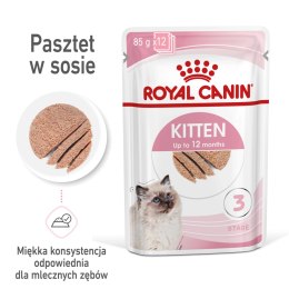 Royal Canin ROYAL CANIN Kitten Pasztet 12x85g