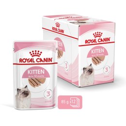 Royal Canin ROYAL CANIN Kitten Pasztet 12x85g