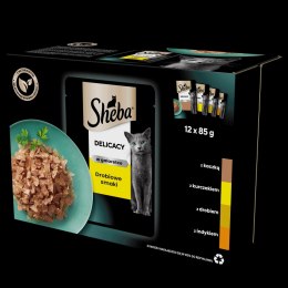 Sheba Sheba Saszetka Delicacy In Jelly Smaki Drobiowe 12x85g