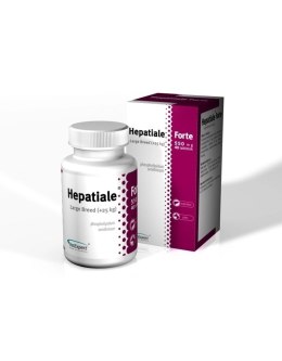 VETEXPERT VETEXPERT Hepatiale Forte Large Breed 40 Tabletek