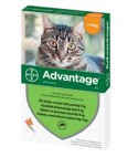 Bayer Bayer Advantage Roztwór Do Nakrapiania Dla Kotów 4x0,4ml