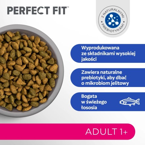 Perfect Fit PERFECT FIT Adult 1+ Z Łososiem 750g
