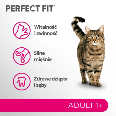 Perfect Fit PERFECT FIT Adult 1+ Z Łososiem 750g