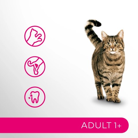 Perfect Fit PERFECT FIT Adult 1+ Z Łososiem 750g