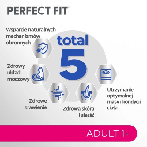 Perfect Fit PERFECT FIT Adult 1+ Z Łososiem 750g