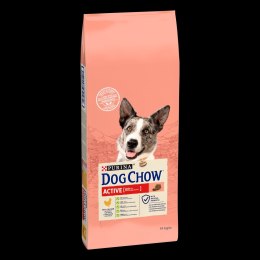 Purina Dog Chow Purina Dog Chow Active Adult Z Kurczakiem 14kg