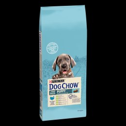 Purina Dog Chow Purina Dog Chow Large Breed Puppy Z Indykiem 14kg