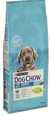 Purina Dog Chow Purina Dog Chow Large Breed Puppy Z Indykiem 14kg
