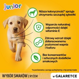 Pedigree Pedigree Mokra Karma Dla Szczeniąt W Galaretce (Z Kurczakiem I Ryżem, Z Wołowiną I Ryżem) 4x100g