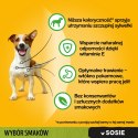 Pedigree Pedigree Mokra Karma Dla Dorosłych Psów Saszetka Mix Smaków (Z Kurczakiem I Warzywami, Z Wołowiną I Warzywami, Z Indykiem I Marc