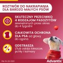 Bayer Bayer Advantix Krople Na Kleszcze I Pchły 4x0,4ml