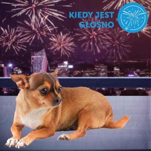 Ceva Animal Health Polska Sp. z o.o. Ceva Animal Health Polska Sp. Z O.o. Adaptil Dyfuzor 48ml