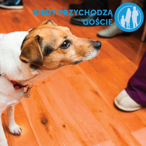 Ceva Animal Health Polska Sp. z o.o. Ceva Animal Health Polska Sp. Z O.o. Adaptil Dyfuzor 48ml