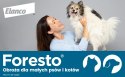 Elanco Bayer Foresto Obroża Dla Kotów I Psów 38cm