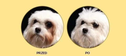 Nature's Protection Nature's Protection Superior Care White Dogs Adult Small Breed With Lamb 1,5kg