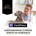 PRO PLAN Veterinary Diets PURINA FortiFlora Dog 30x1g