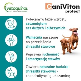 Vetoquinol Vetoquinol Caniviton Protect 90szt