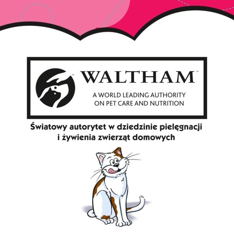 Dreamies DREAMIES Przysmak Dla Kota Z Wołowiną 60g