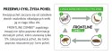 Frontline (Boehringer Ingelheim) FRONTLINE Combo Spot-On Dla Psów 3x2,68ml