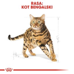 Royal Canin ROYAL CANIN Bengal Adult 10kg