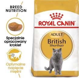 Royal Canin ROYAL CANIN British Shorthair Adult 10kg