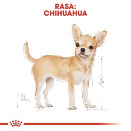 Royal Canin ROYAL CANIN Chihuahua Adult 1,5kg