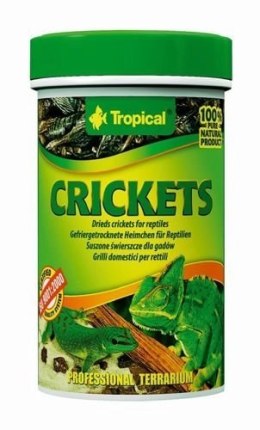 Tropical Tropical Crickets 100ml