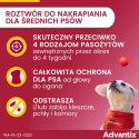 Bayer Bayer Advantix Krople Na Kleszcze I Pchły 2,5ml