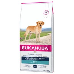 Eukanuba Eukanuba Adult Labrador Retriever 12kg