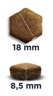 Eukanuba Eukanuba Adult Labrador Retriever 12kg