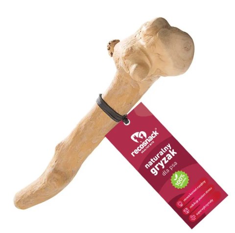 RecoSnack RECOSNACK Patyk Z Drzewa Kawowego M