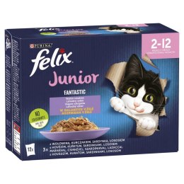 Felix Felix Fantastic Junior W Galaretce 12x85g