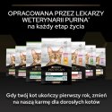 Purina Pro Plan Purina Pro Plan Original Kitten Kurczak Z Ryżem 400g