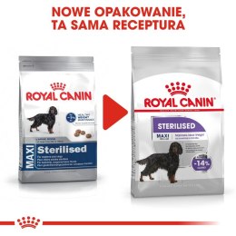Royal Canin ROYAL CANIN CCN Maxi Sterilised 12kg