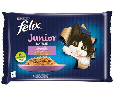 Felix Felix Fantastic Junior W Galaretce Z Kurczakiem I Łososiem 4x85g