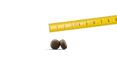 Josera Josera Adult Light & Vital 12,5kg