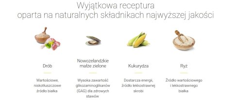 Josera Josera Kids Karma Dla Szczeniąt 12,5kg