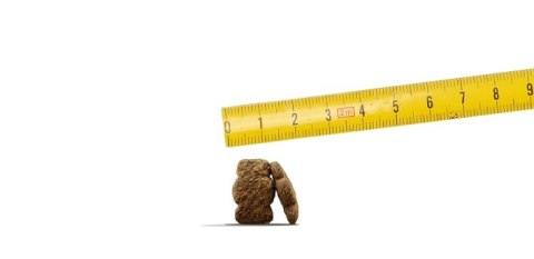 Josera Josera Kids Karma Dla Szczeniąt 12,5kg