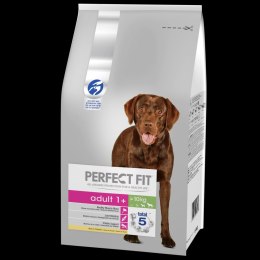 Perfect Fit Perfect Fit™ - sucha karma pełnoporcjowa dla dorosłych psów średnich i dużych ras, bogata w kurczaka 6kg