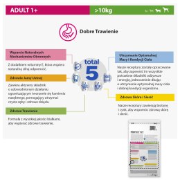 Perfect Fit Perfect Fit™ - sucha karma pełnoporcjowa dla dorosłych psów średnich i dużych ras, bogata w kurczaka 6kg