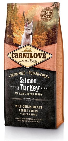 Carnilove Carnilove Salmon & Turkey For Large Breed Puppy 12kg