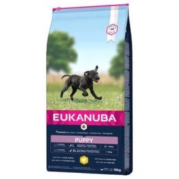 Eukanuba Eukanuba Puppy&Junior Large Breed 15kg