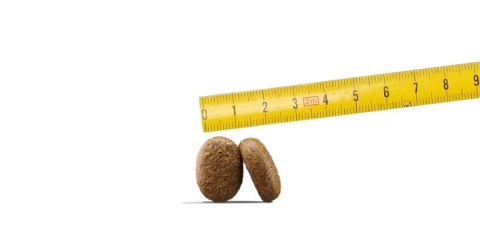 Josera Josera Optiness 900g