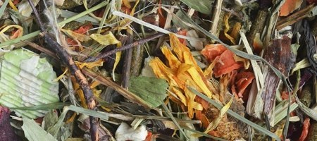 Korona Natury KORONA NATURY Natural-Vit Pokarm Dla Królika 750g