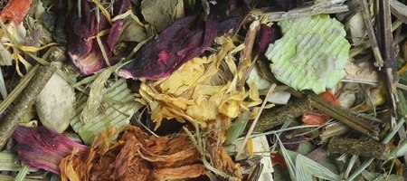 Korona Natury KORONA NATURY Natural-Vit Pokarm Dla Szynszyli 750g